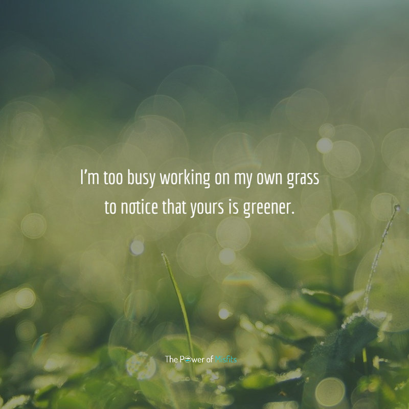 I’m too busy working on my own grass to notice that yours is greener