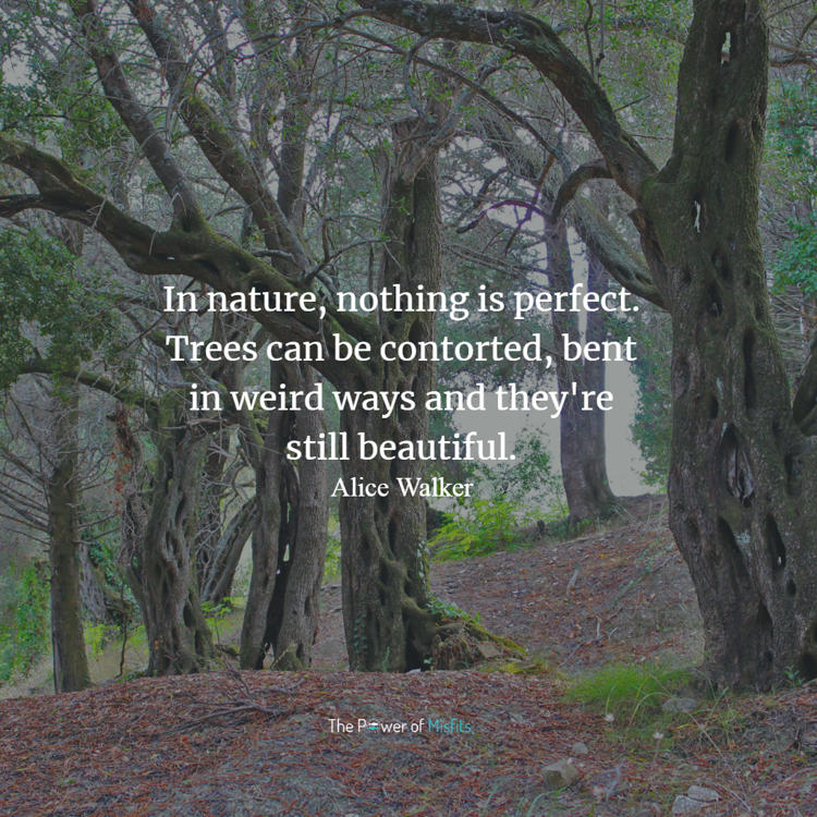 In nature, nothing is perfect. Trees can be contorted, bent in weird ways and they're still beautiful quotes